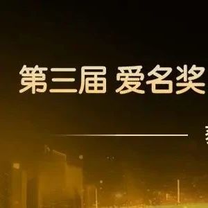 “黑茶.中国”荣获第三届爱名奖十大最具价值中文域名