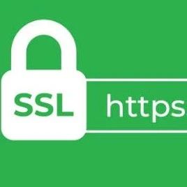 什么是原厂SSL证书？什么是贴牌SSL?