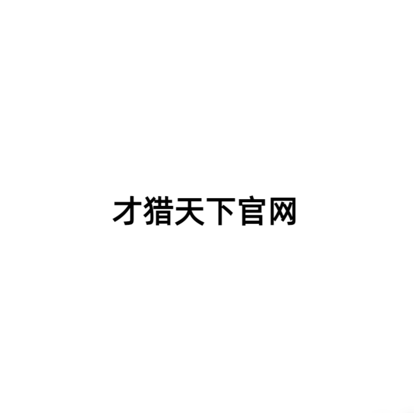 猎头公司模板