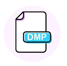 LTD数字化经营体系与DMP领军人才项目的协同关系