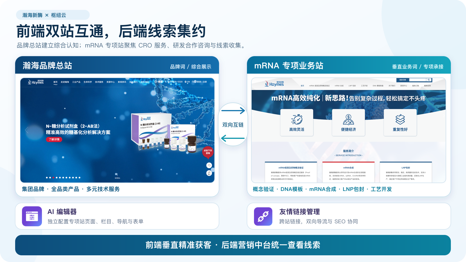 瀚海新酶品牌总站和 mRNA 专项站的双向链接及业务分工示意
