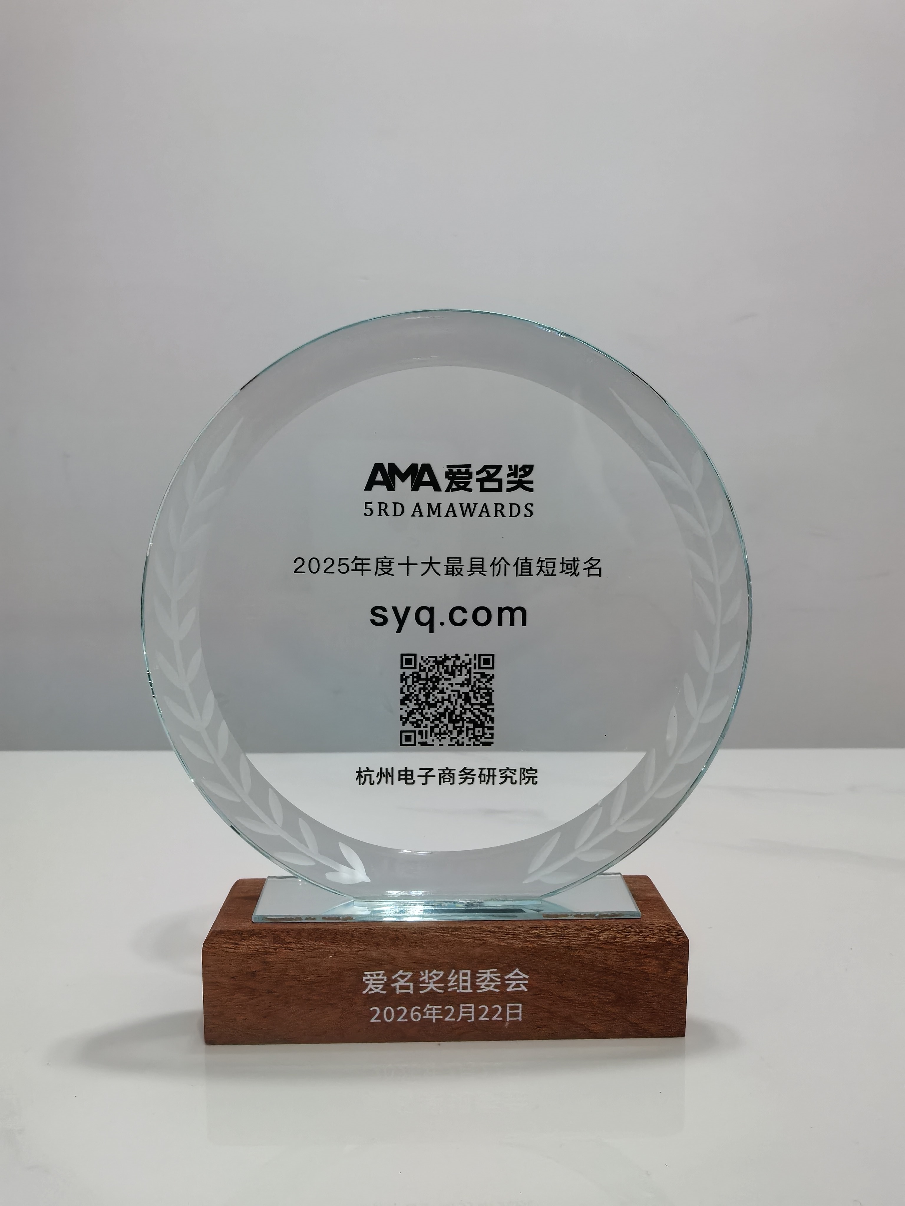 &ldquo;syq.com&rdquo;荣获第五届（2026）&ldquo;爱名奖&rdquo;十大最具价值短域名
