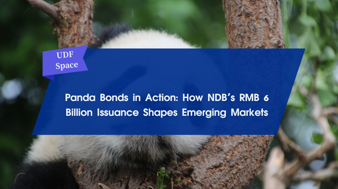 Panda Bonds in Action: How NDB's RMB 6 Billion Issuance Shapes Emerging Markets