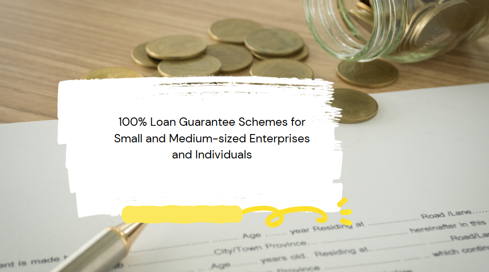 100% Loan Guarantee Schemes for Small and Medium-sized Enterprises and Individuals