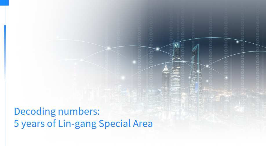 Decoding numbers: 5 years of Lin-gang Special Area