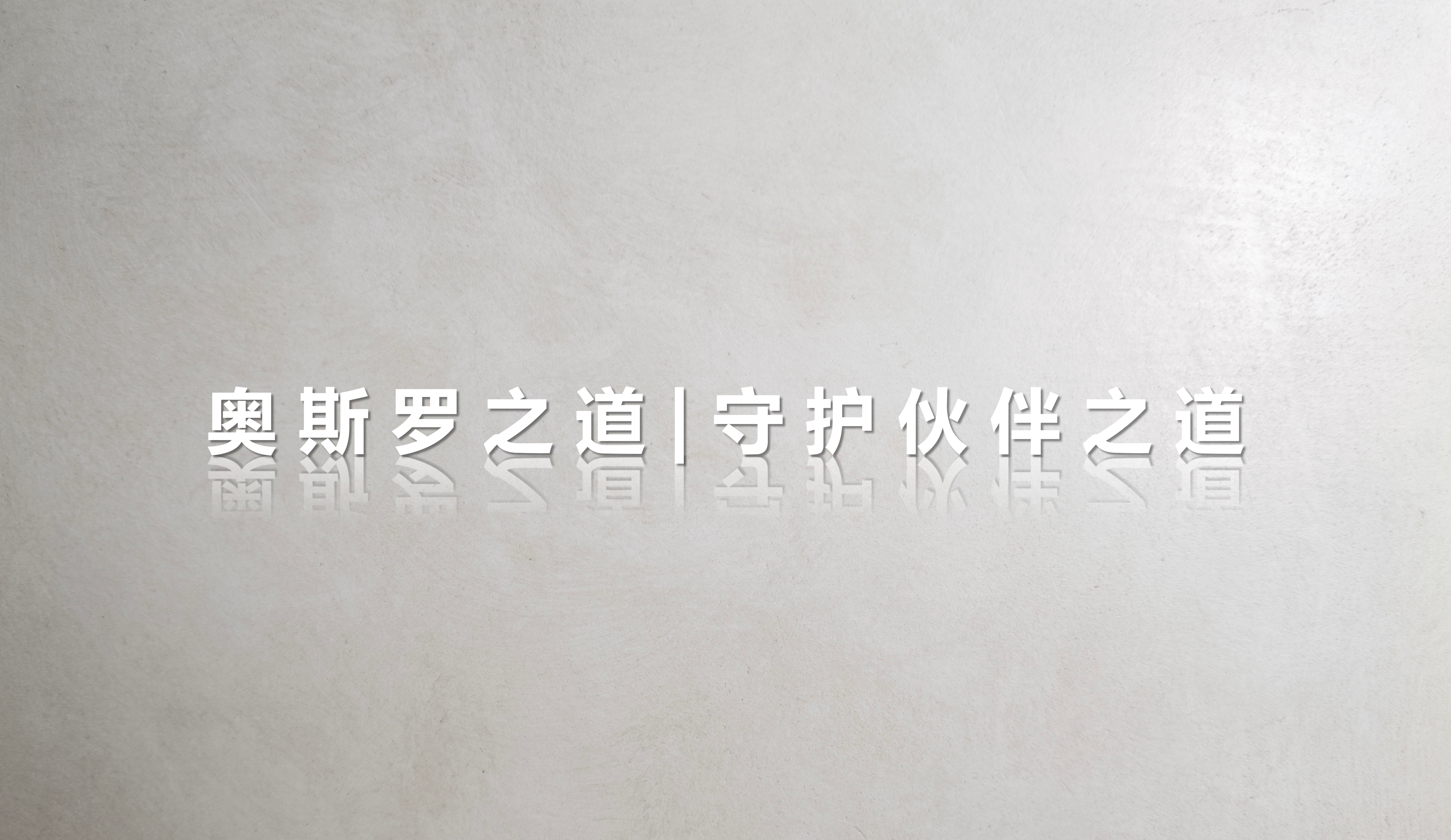 奥斯罗之道｜守护伙伴之道（2）