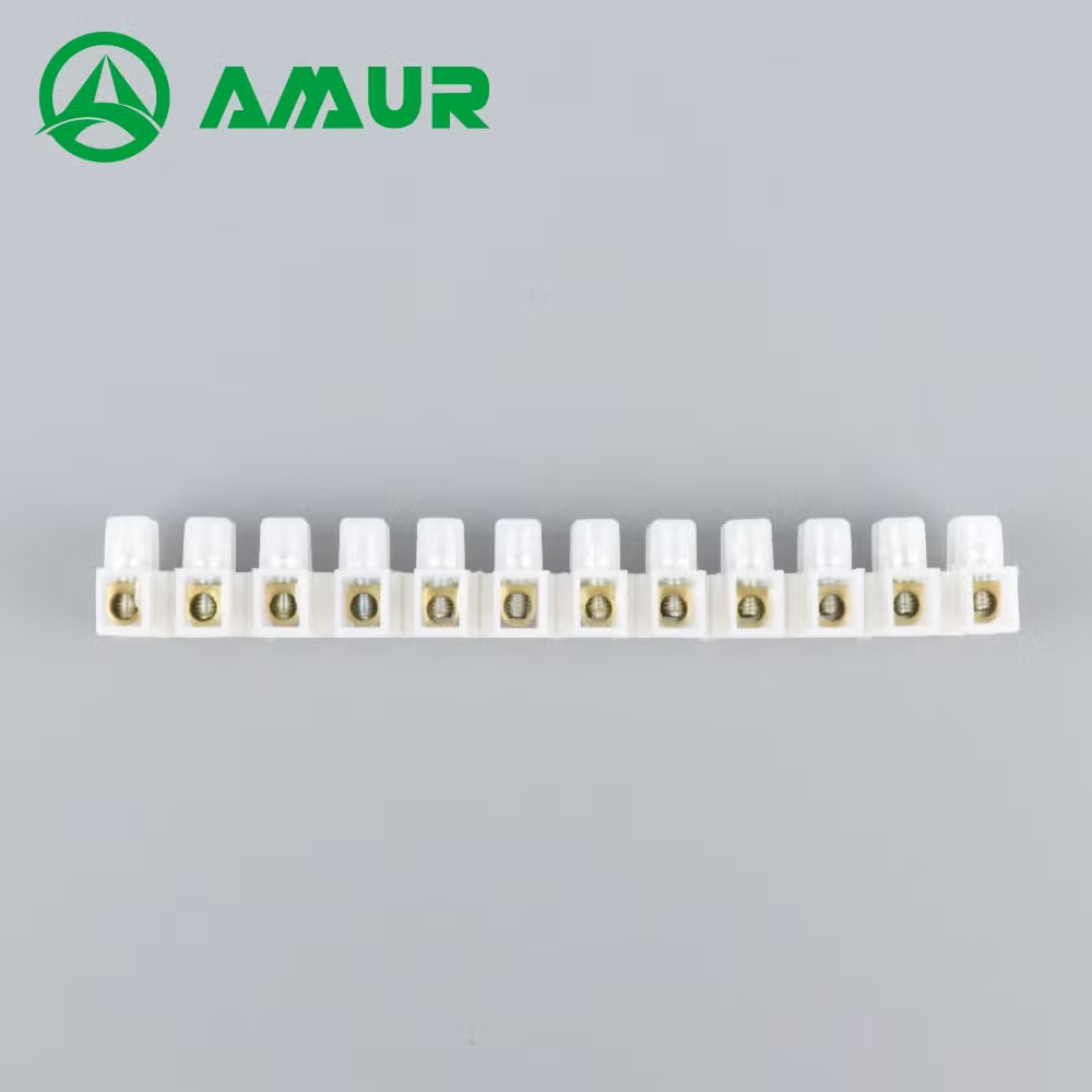 Amur X3 Series 3A 12 Poles Strips Plastic Electrical Connectors Types Terminal