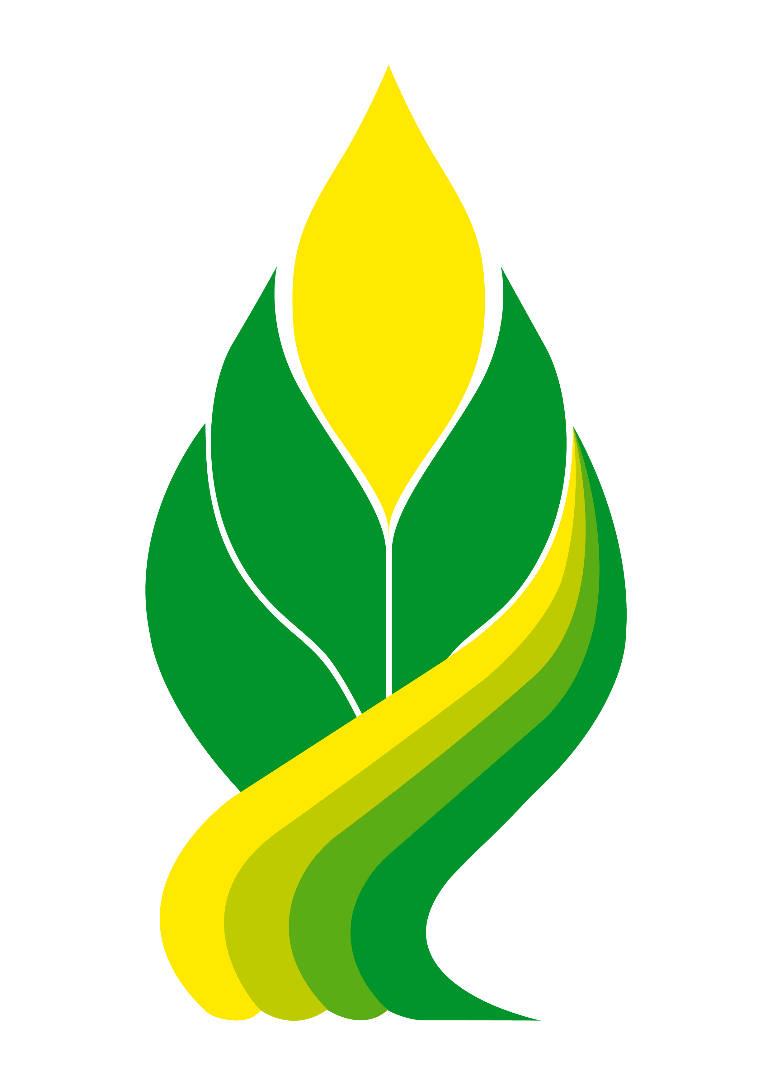 RSK阿芙罗拉