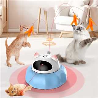 Cat toy