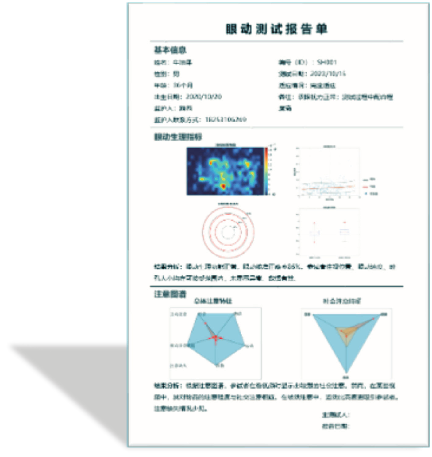 报告