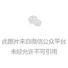 &ldquo;三秦四季大地欢歌 &mdash;&mdash; 我与朱鹮共唱歌&rdquo; 文化惠民展演圆满落幕