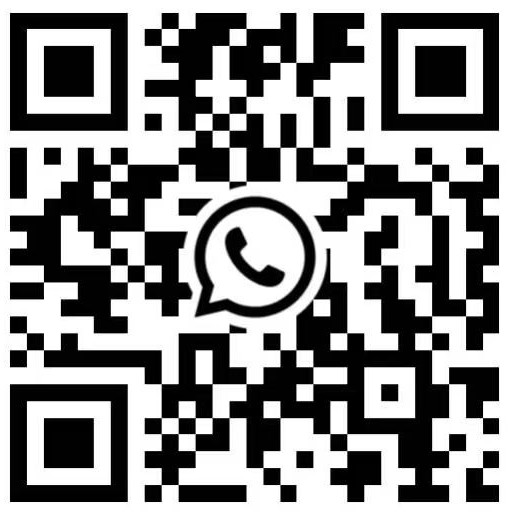 katoy whatsapp