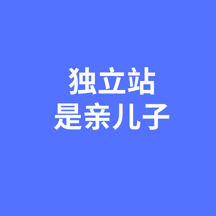 独立站才是亲儿子！