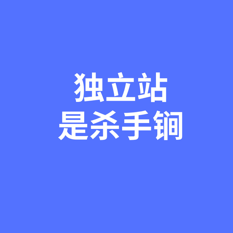 案例一：宁波乐歌业绩狂飙！半年收入31亿，独立站成了&ldquo;杀手锏&rdquo;