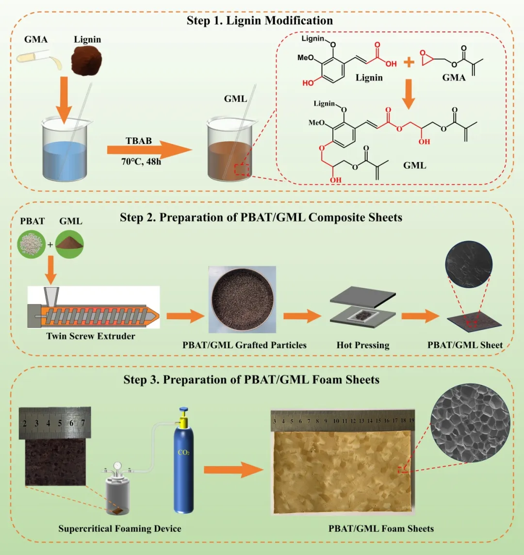 Ntu team: Preparation of PBAT/ Lignin composite foam materials with ...