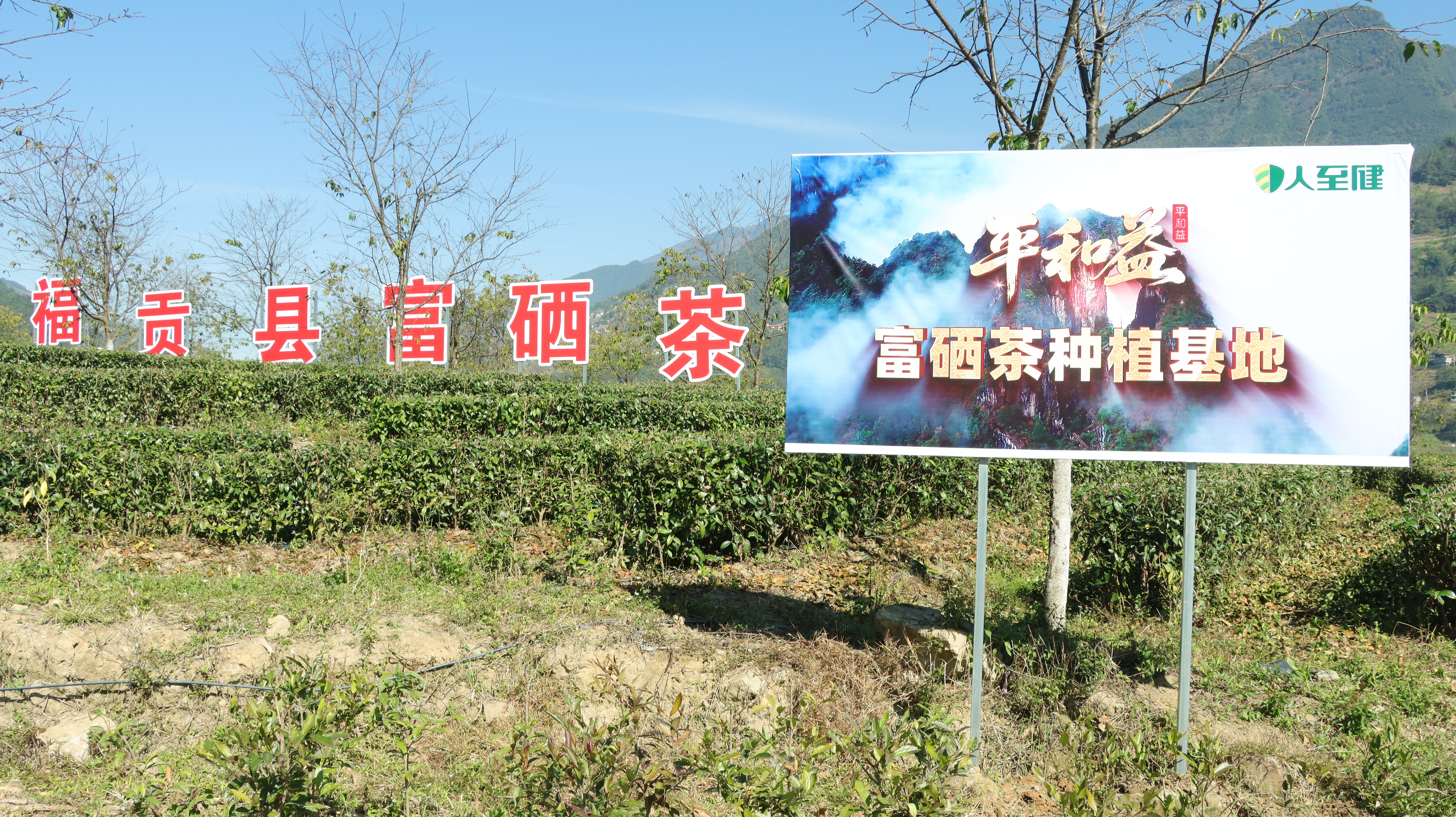 微益生以健康为导向，2019年国务院全面实施健康中国战略，明确健康产业要以治病为中心转向以健康为中心。