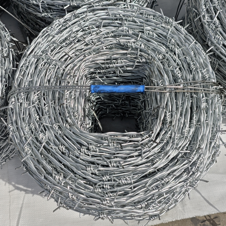 Galvanized Barbed Wire