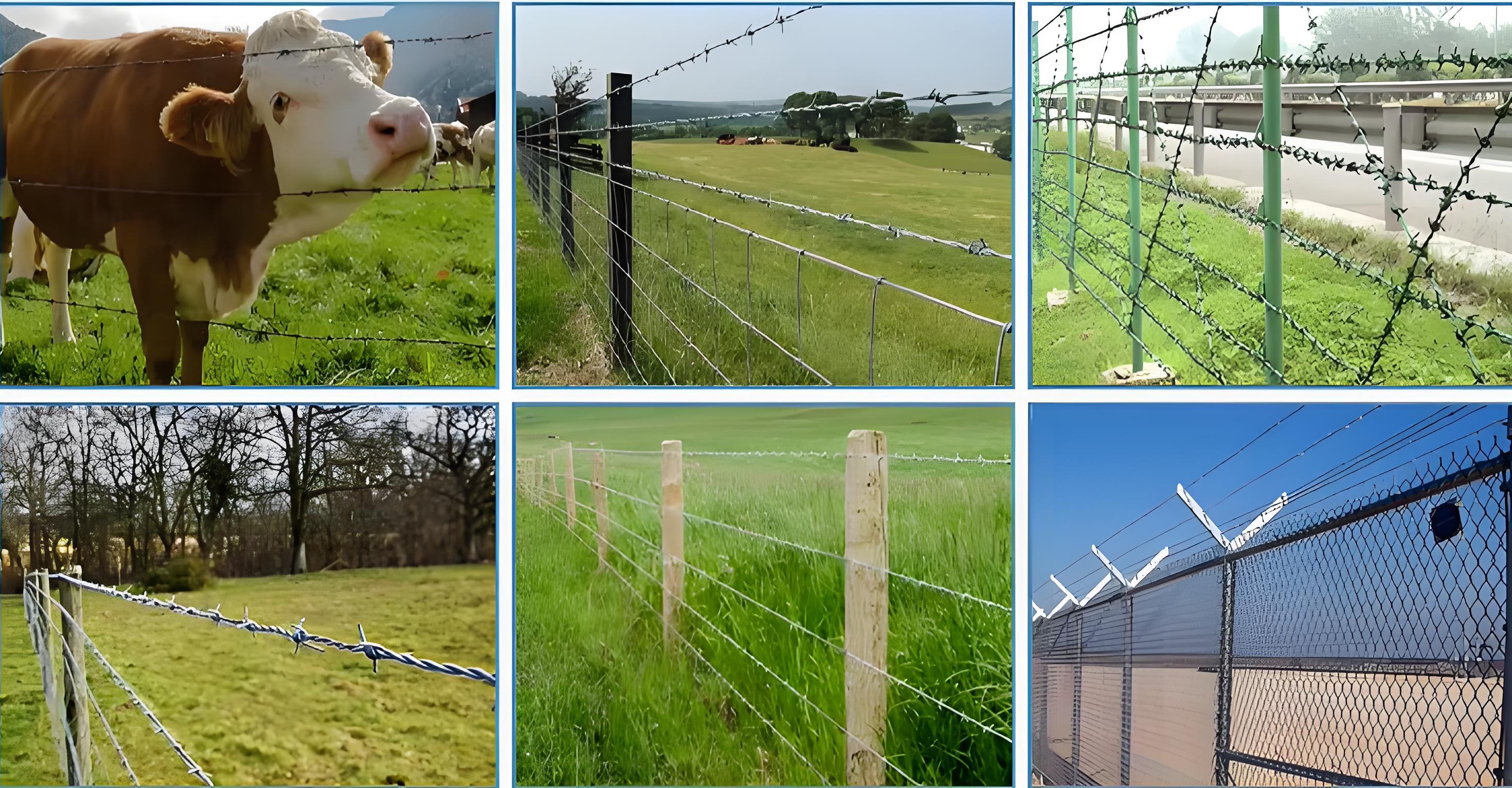 Barbed Wire products