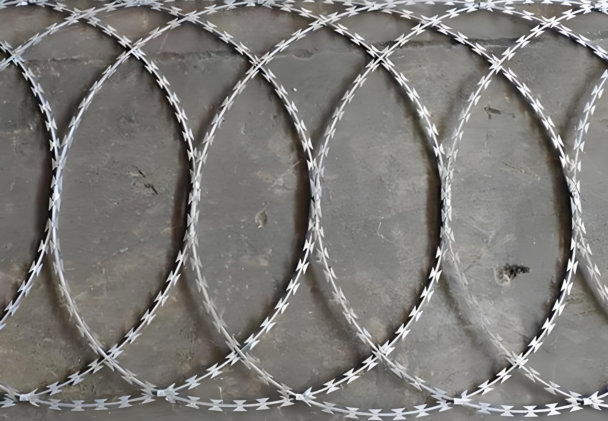 10mx600mm SS316 Flat-rolled Razor Wire