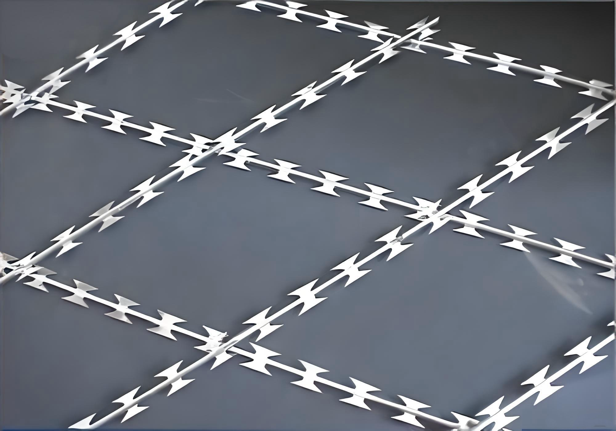 SUS 304 100mm Hole Anti-Climb Welded Concertina Razor Wire