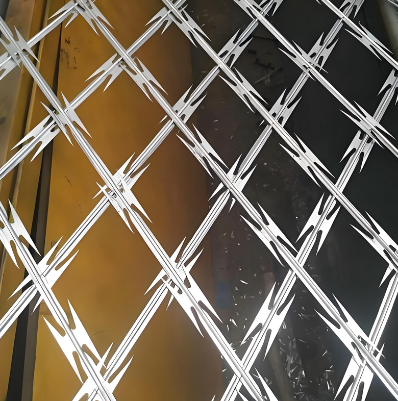 100mmx200mm CBT-60 Welded Razor Wire Mesh Coil