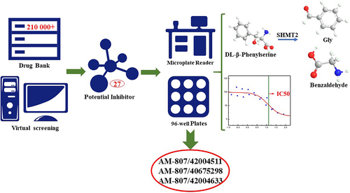Chem Bio Drug Des— Identification of three new compounds that directly target human  serine hydroxymethyltransferase 2