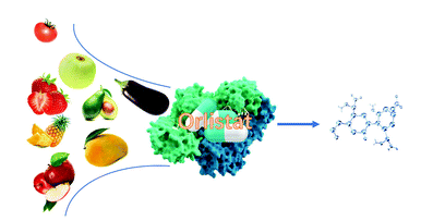  Food & Function—Drug-guided screening for pancreatic lipase  inhibitors in functional foods
