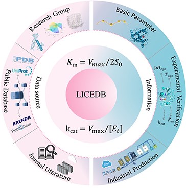 DATABASE-LICEDB: light industrial core enzyme database for  industrial applications and AI enzyme design