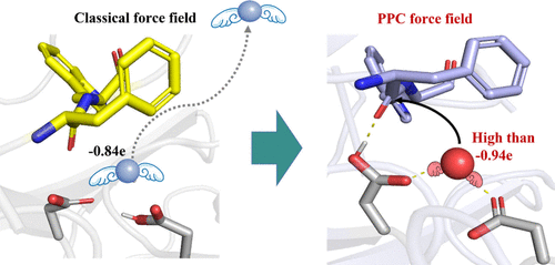 J.Chem. Inf. Mode-Blade of Polarized Water Molecule” Is the Key to Hydrolase Catalysis Regulation