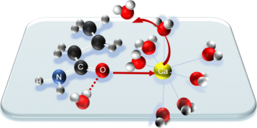 J.Phys.Chem. B-Dynamic Modulation of Ions Solvation Sheath by Butyramide as Molecular Additives in Aqueous Batteries