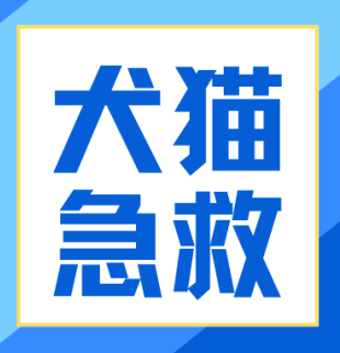 毛孩子卡喉、窒息别等！这堂课能救它一命