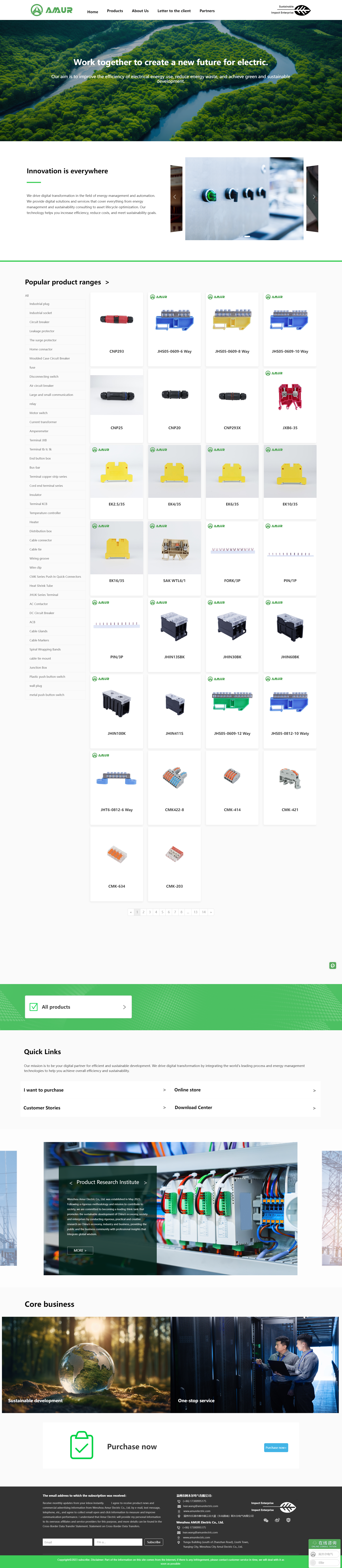 Wenzhou Amur Electric Co., Ltd.