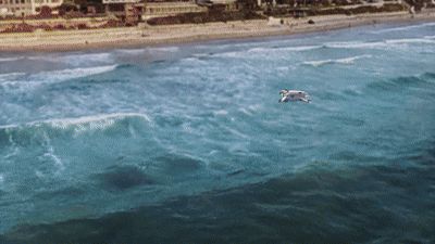 One Flight Over the Gap: A Survey from Perspective to Panoramic Vision