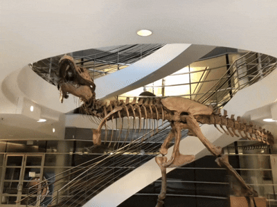 D2GS: Depth-and-Density Guided Gaussian Splatting for Stable and Accurate Sparse-View Reconstruction