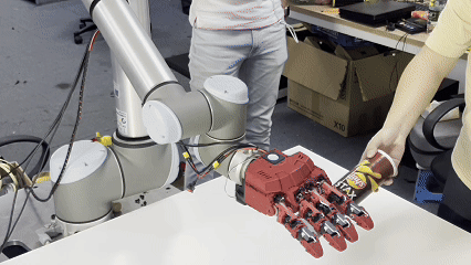 RAPID Hand: A Robust, Affordable, Perception-Integrated, Dexterous Platform for Generalist Robot Autonomy
