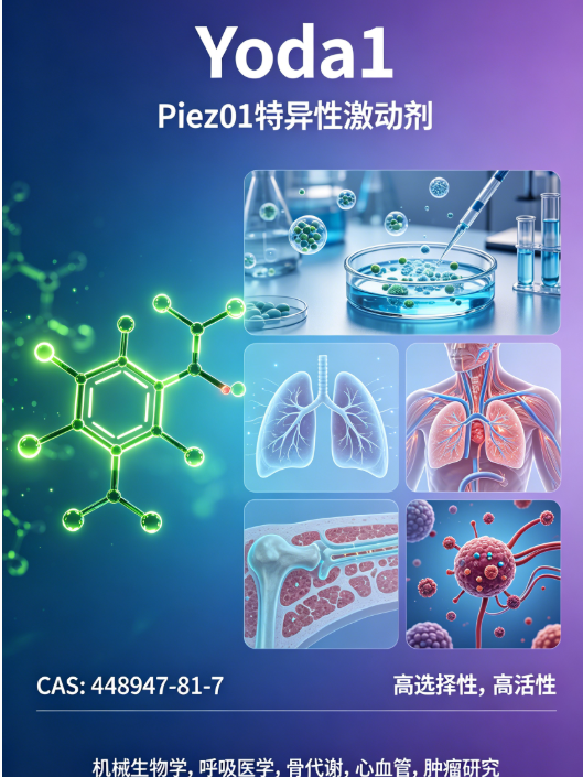 Yoda1（CAS：448947-81-7）&mdash;&mdash;一种高选择性、强效的Piezo1机械敏感离子通道特异性激动剂，广泛应用于生命科学与基础医学研究。