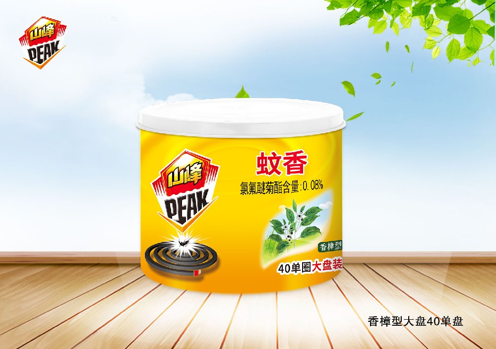 香樟40单盘大盘装