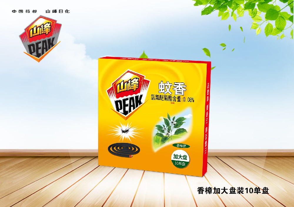 香樟加大盘装型10单盘