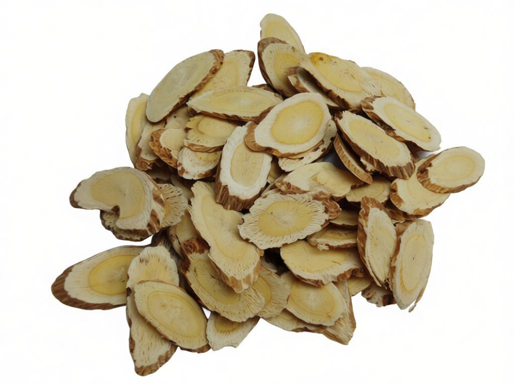 野生正北芪顶级片