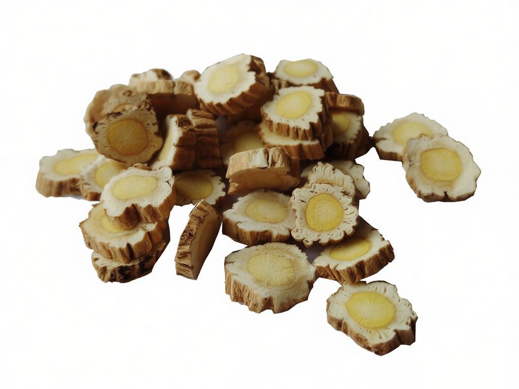 野生正北芪小圆片