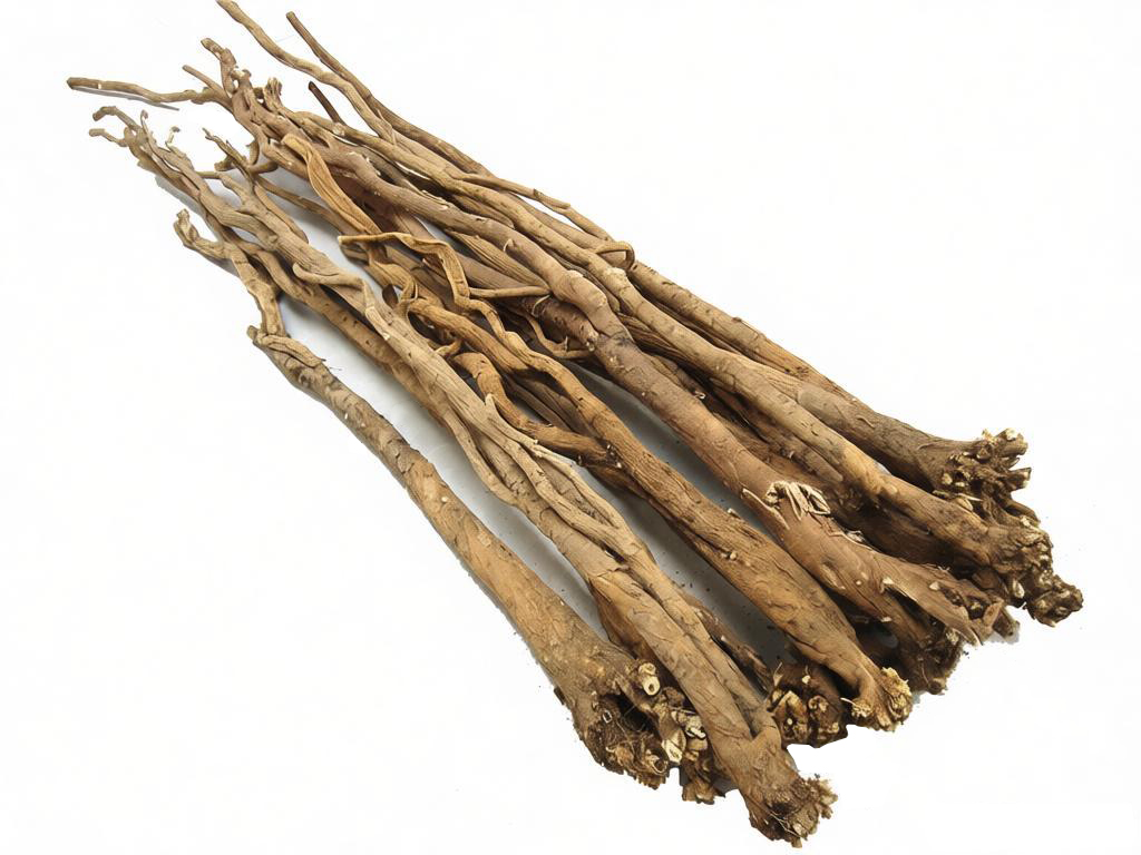 野生北芪整颗三十年老黄芪根