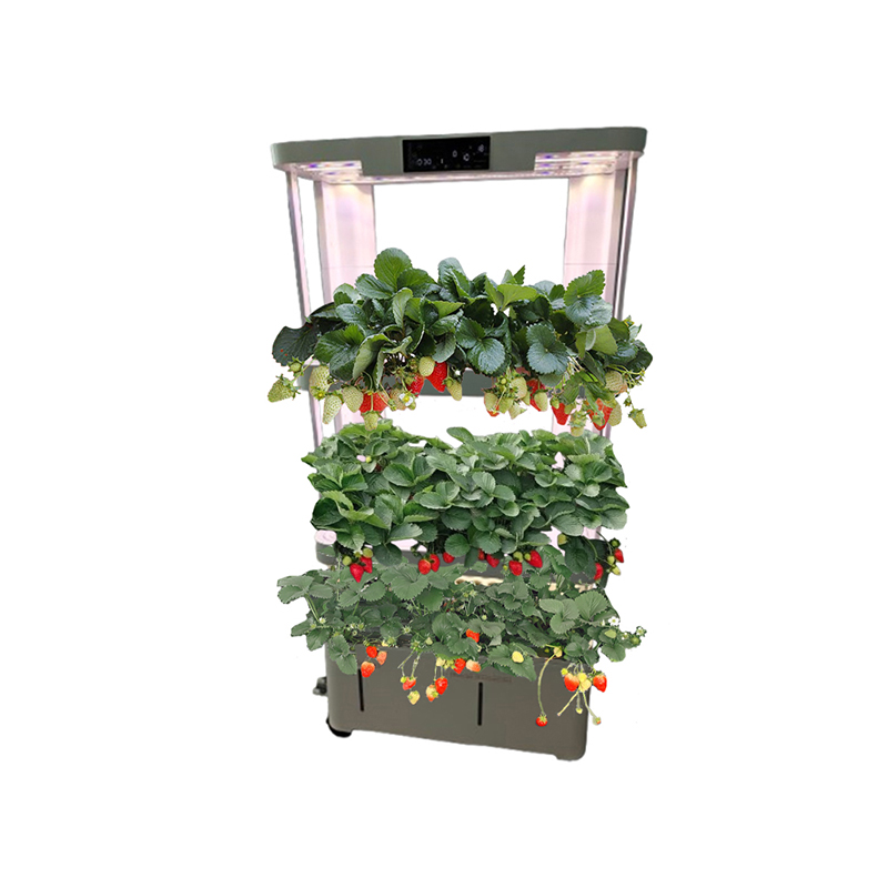 Three layer strawberry vegetable planting machine