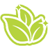icon1