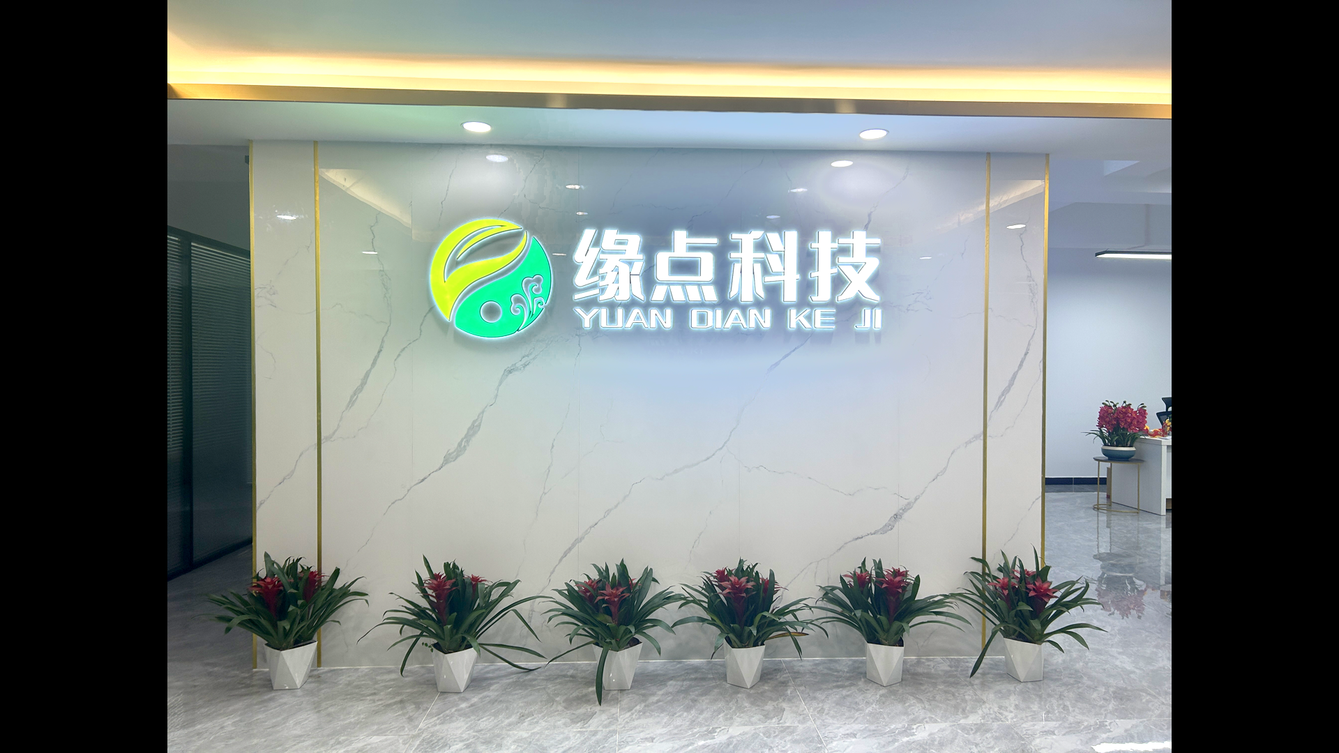 公司环境