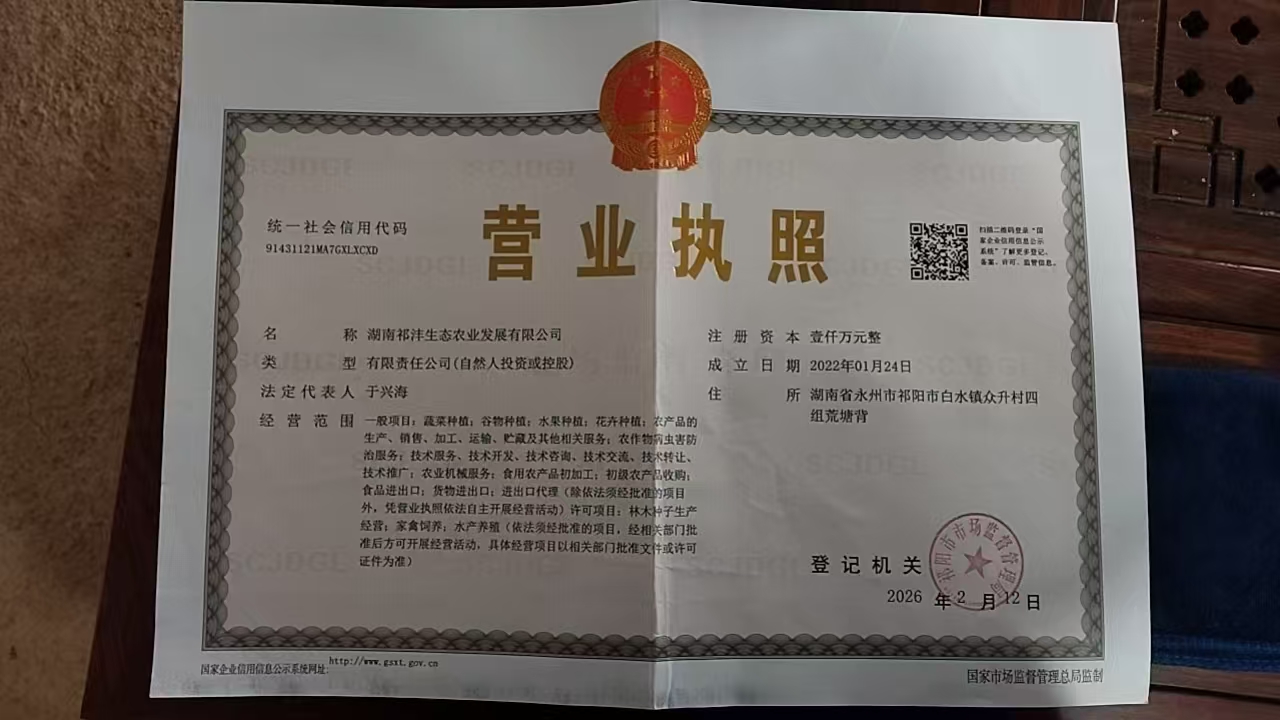 祁沣农业蔬菜基地