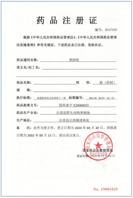 国药准字批文