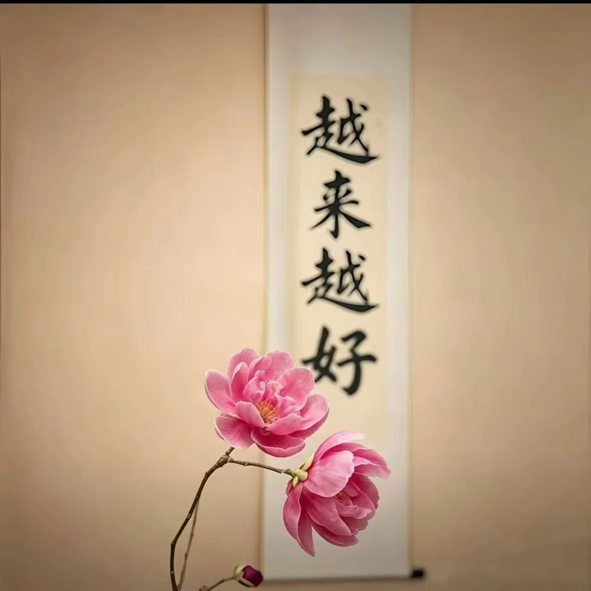 自由的老板，才会真正有安全感
