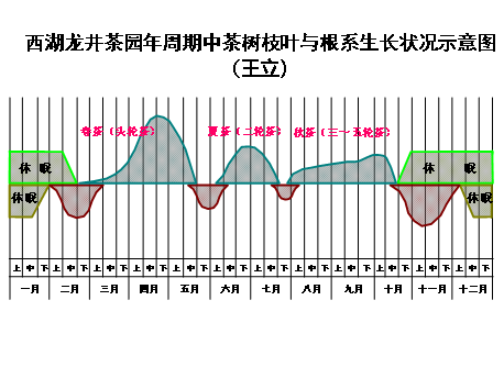 秋季施基肥
