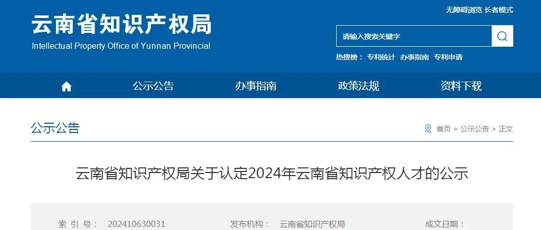 云南省知识产权局关于认定2024年云南省知识产权人才的公示