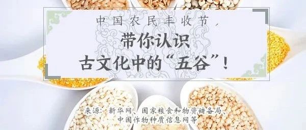 知识科普 | “丰收节”——话五谷